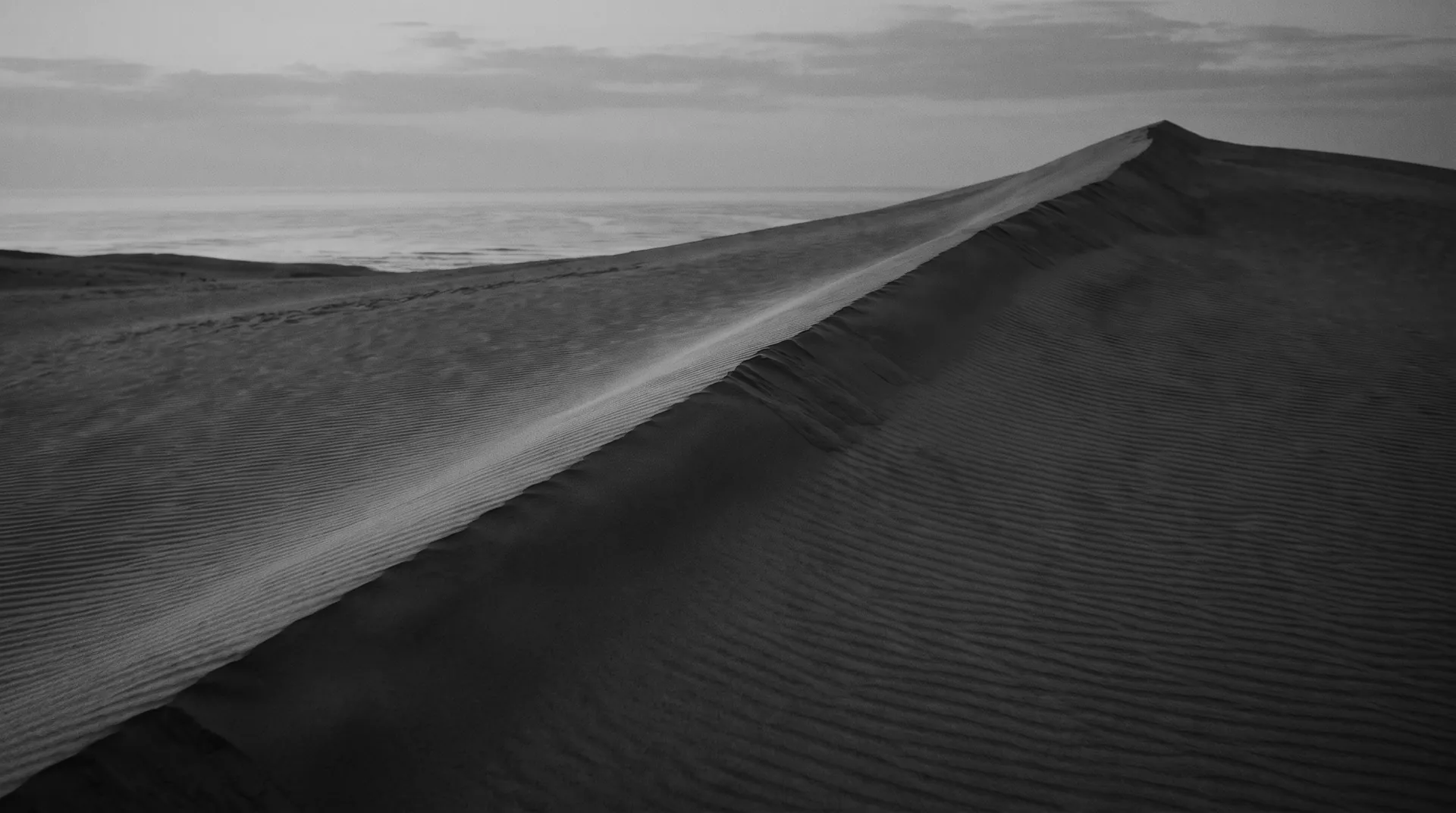 Ridge of the Tottori sand dunes